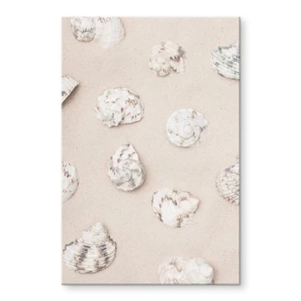 Acrylglasbild 1X Studio - Am Strand Acrylglasbild 1X Studio - Am Strand