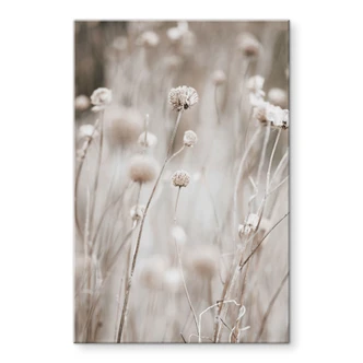 Acrylglas Gedroogde bloemen in zachte kleuren - Annie 