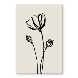 Tableau en verre acrylique Line Art coquelicot - Cats & Dotz 