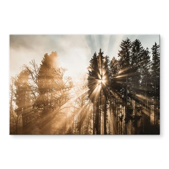Tableau en verre acrylique Rayons de lumière dans la forêt - Eisenmann 
