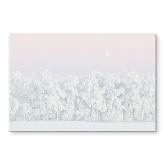 Acrylglas afbeelding Sneeuwachtig winterbos met maan - EMELIEmaria 