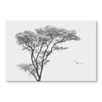 Tableau en verre acrylique Arbre minimaliste dans un paysage calme - Flour 