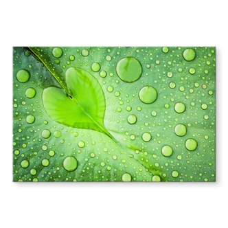 Tableau sur verre acrylique Foto - Cœur de gouttes d'eau sur une feuille verte 