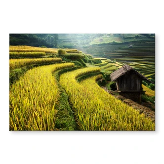 Tableau sur verre acrylique Intarob - rizières au Vietnam 