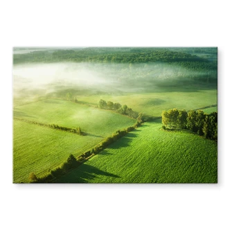 Tableau en verre acrylique Champs idylliques dans le brouillard - Keller 