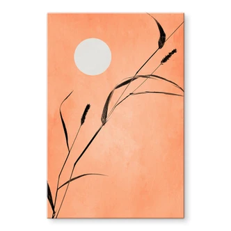 Akrylbillede Siv i ferskenfarvet solskin - Kubistika Akrylbillede Siv i ferskenfarvet solskin - Kubistika