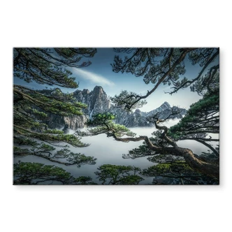 Tableau acrylique Forêt de pins des monts Huang Shan - NingYun Ye Tableau acrylique Forêt de pins des monts Huang Shan - NingYun Ye