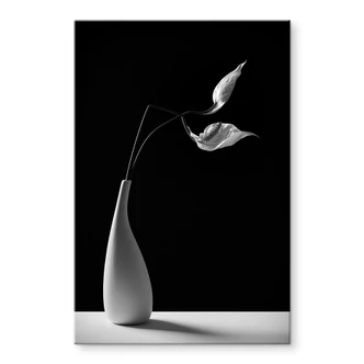 Tableau sur verre acrylique Oveckova - Plantes dans un vase blanc 