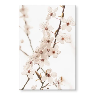 Tableau en verre acrylique Branche avec fleurs de cerisier blanches - Sisi & Seb 