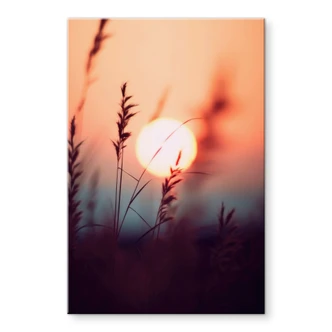 Acrylglasbild Gräser im Licht der glühenden Sonne - Treechild 