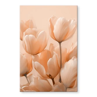 Plexiglas Peach-kleurige tulpen - Treechild 
