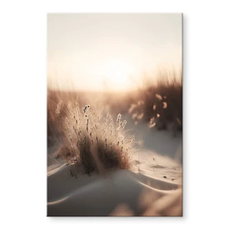 Acrylglasbild Treechild - Sonnenuntergang über den Dünen 