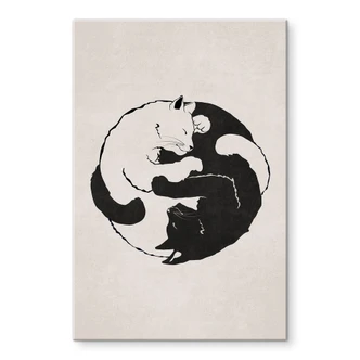 Acrylglasbild Katzen Ying & Yang - Tunaboylu 