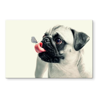 Acrylglasbild Tierische Zuneigung 