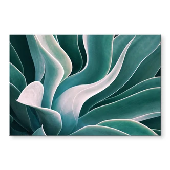 Tableau sur verre acrylique Wechsler - Agave à la lumière du matin 