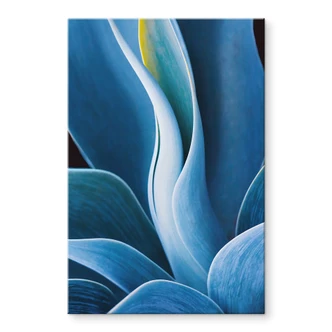 Tableau sur verre acrylique Wechsler - Plantes d'agave  