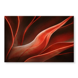 Tableau sur verre acrylique Wechsler - plantes d'agave en automne 