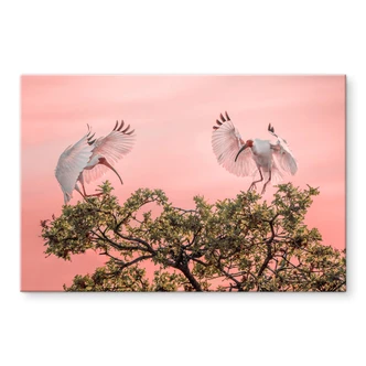 Tableau sur verre acrylique Zhao - Birds at Sunset 