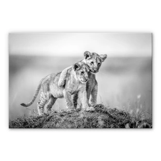 Acrylglasbild Sink - Brothers for Life - schwarz-weiß 