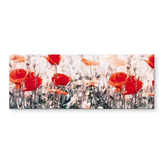 Tableau sur verre acrylique Coquelicot d'été rouge - Panorama 