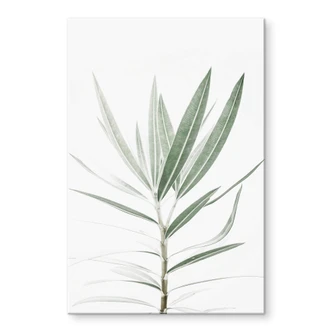 Tableau en verre acrylique Sisi & Seb - Oleander 