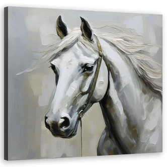 Leinwandbild Weißes Pferd Tiere Leinwandbild Weißes Pferd Tiere