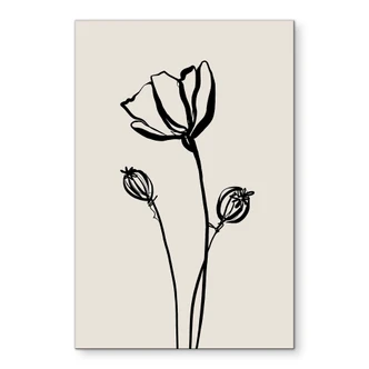 Stampe per pareti Line Art Poppy - Cats & Dotz - Alu-Dibond 