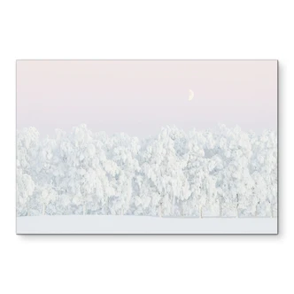 Wanddecoratie Besneeuwd winterbos met maan - EMELIEmaria - aluminium dibond Wanddecoratie Besneeuwd winterbos met maan - EMELIEmaria - aluminium dibond