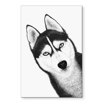 Muurschildering Siberische husky - hondenportret - aluminium dibond - Korenkova 