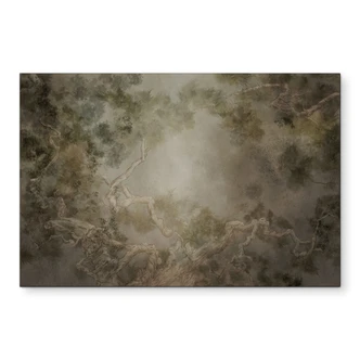 Wandbild Wald mit Blick in die Baumwipfel - Ms Tiff - Alu-Dibond 
