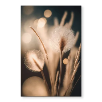 Stampe per pareti con erbe bohémien in luce dorata - Alluminio Dibond - Treechild 