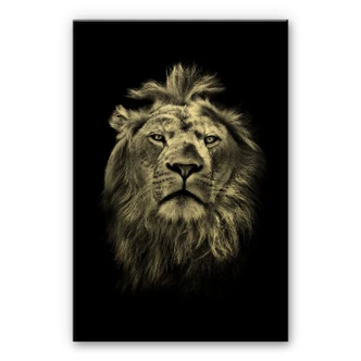 Alu-Dibond goud effect - Leeuw 