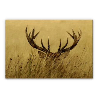 Alu-dibond goud - Waakzaam Hert 