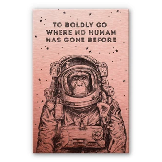 Alu-Dibond Kopereffect – To boldly go… Alu-Dibond Kopereffect – To boldly go…