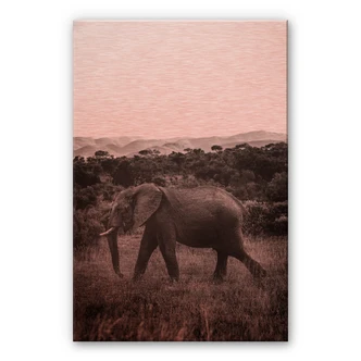 Alu-Dibond koper Olifant in Afrika Alu-Dibond koper Olifant in Afrika