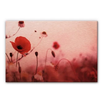 Dibond Schilderij met koper effect Klaprozen 