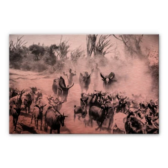 Alu-Dibond met koper effect Tagliarino - Kudde Geiten in Afrika 