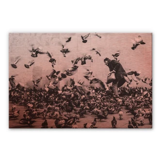 Alu-Dibond Koper – Duiven Voeren Alu-Dibond Koper – Duiven Voeren