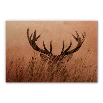 Alu-dibond Koper - Waakzaam Hert 