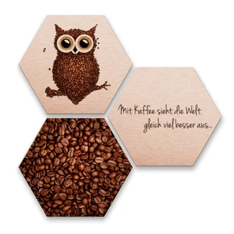 Hexagon - Alu-Dibond-Kupfereffekt - Kaffeeeule (3er Set) 