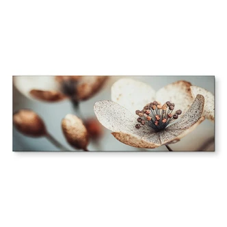 Wandbild Boho Trockenblume Makro - Treechild - Alu-Dibond Panorama 