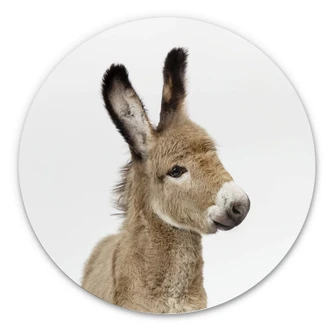 Wandcirkel Sisi & Seb - Baby Ezel 