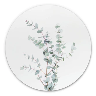 Wandcirkel Sisi & Seb - Eucalyptustak Wandcirkel Sisi & Seb - Eucalyptustak