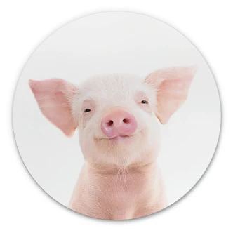 Wandcirkel Sisi & Seb - Biggetje Wandcirkel Sisi & Seb - Biggetje