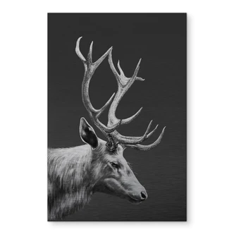 Aluminium dibond met zilvereffect Hert met gewei zwart en wit - Roberg Aluminium dibond met zilvereffect Hert met gewei zwart en wit - Roberg