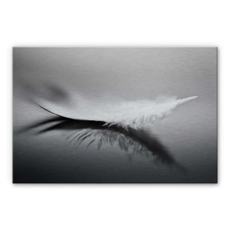 Alu-dibond zilver - Coutinho - Weightless 