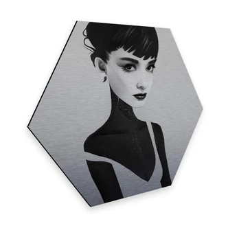 Hexagon - Alu-Dibond-Silbereffekt - Ireland - Oh Audrey 