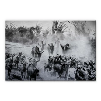 Alu-Dibond met zilver effect Tagliarino - Kudde Geiten in Afrika 