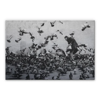 Alu-Dibond Zilver – Duiven Voeren 