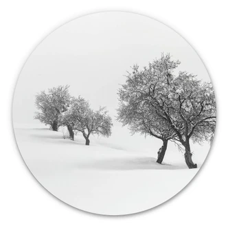 Wandcirkel Carrillo Lopez - White World 